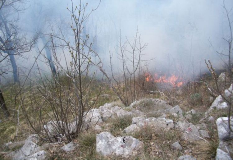 Ne jenjava požar na Ljubomiru