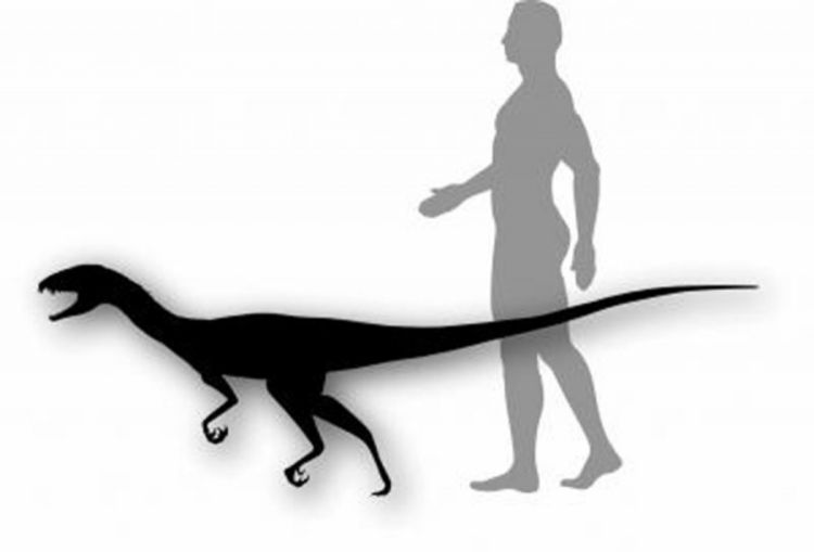 Otkriven demonski dinosaurus