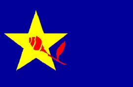 SDSM planira referendum o nazivu