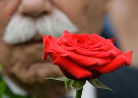 Titovi poštovaoci odali počast voljenom maršalu (Foto)