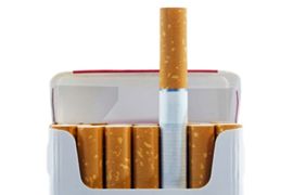 Otrovali psa i ukrali cigarete iz preduzeća Nelt