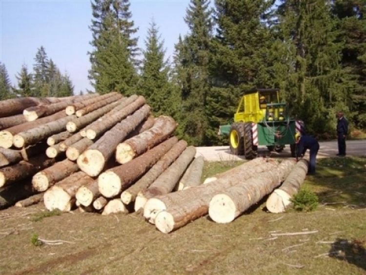 Veća prodaja i proizvodnja šumskih sortimenta