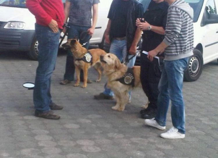 Lažna dojava o bombi u redakciji Indeksa