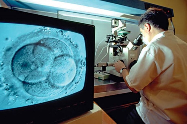 Petnaest jajnih ćelija optimalan broj kod oplodnje in vitro