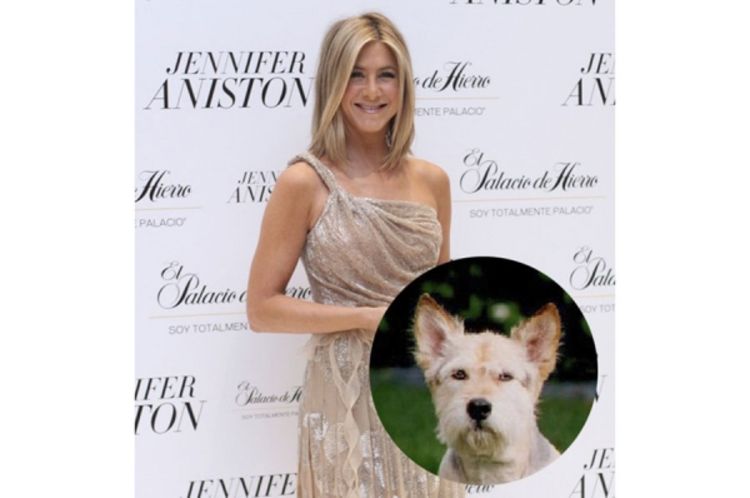 Uginuo pas kome je Dženifer Aniston kupila apartman