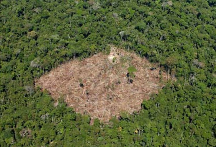 Brazil ublažava zakon o zaštiti šuma