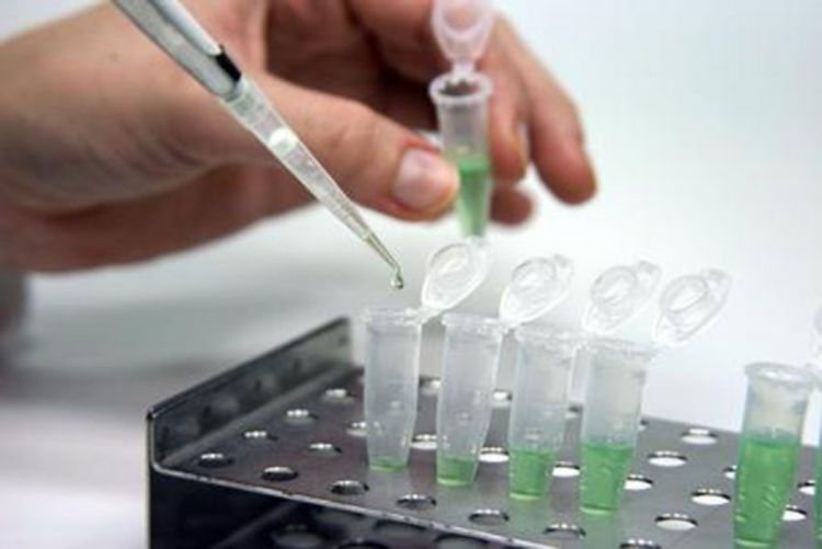 Odobrena upotreba lijeka Boceprevir za liječenje hepatitisa C