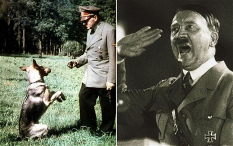 Nacisti učili pse da govore i čitaju?
