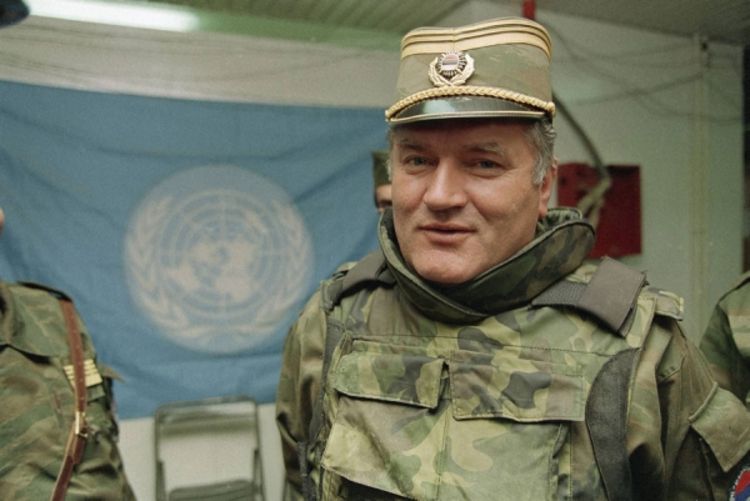 Mladić tražio jagode i televizor