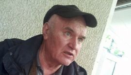 Mladiću pozlilo u Hagu
