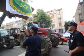 Paori ne vjeruju Vladi Srbije