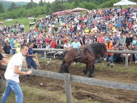 Štraparijada okupila više od 7.000 posjetilaca (Foto)