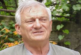 Divjak traži povratak u BiH
