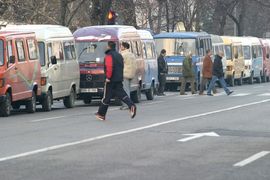 Divlji prevoznici guše posao legalnih
