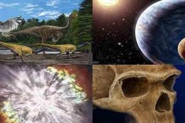 6 amatera koji su promijenili nauku