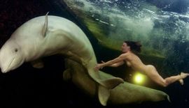 Ruska naučnica se gola kupala s kitovima (Foto)