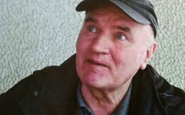 Mladića brane Šaljić i Mezjajev
