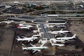  Kornjače zaustavile letove na aerodromu u Njujorku