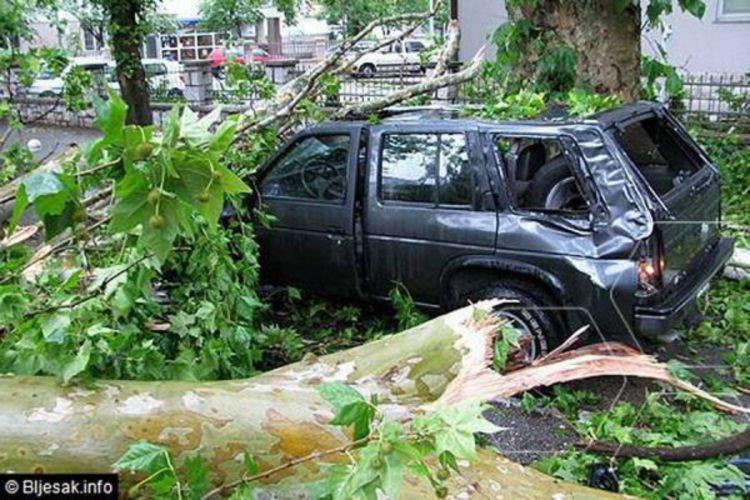 Mostar: Od udara groma stablo se srušilo na automobil, vozač povrijeđen