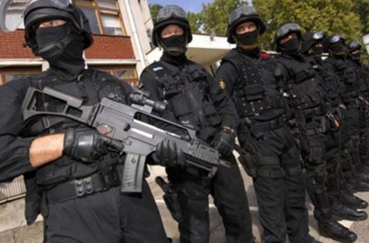 Bh. policajci u potjeri za bandom Pink Panter