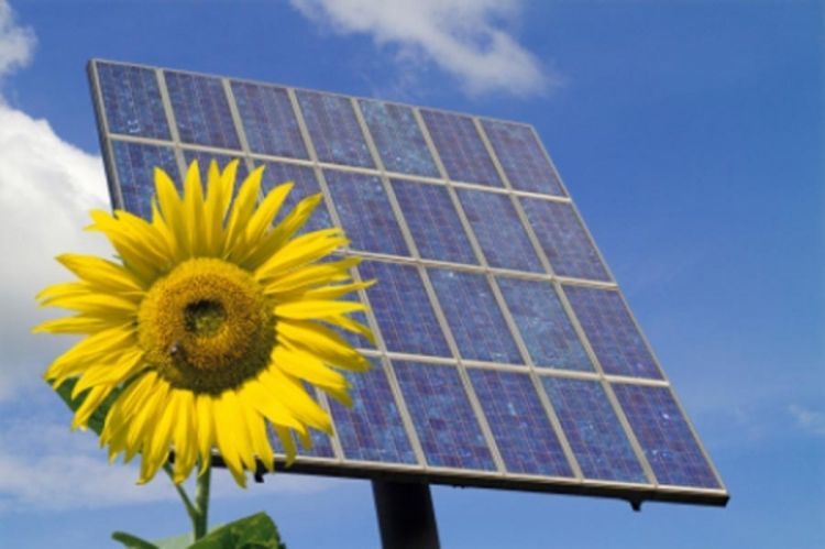 Uskoro izgradnja prve solarne elektrane u Srbiji