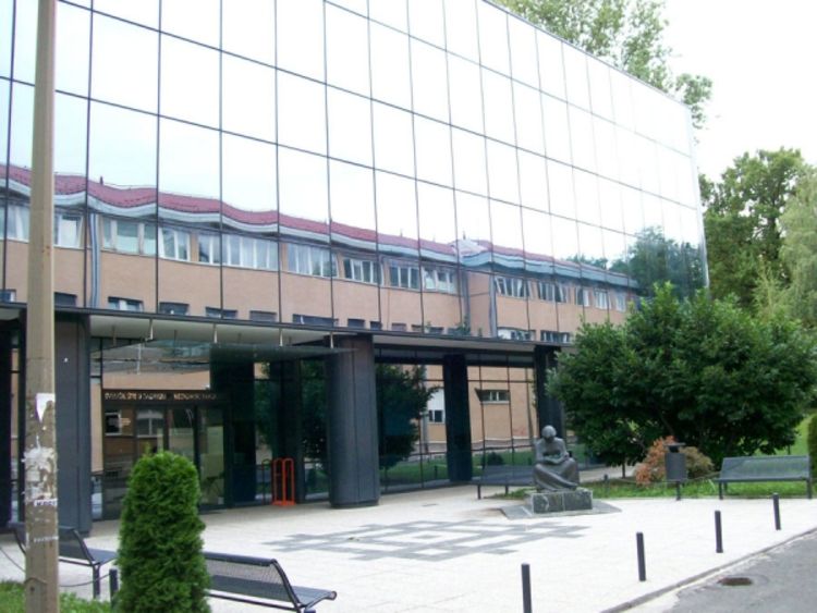 Identifikovani posmrtni ostaci 13 Srba stradalih u Hrvatskoj