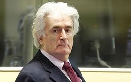 Karadžić i SDS nadgledali podjelu poslova u MUP-u BiH