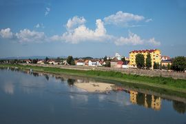 Umro u šumi zbog uvećanog srca