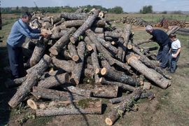 Drvo za ogrjev i zimnica na šest rata
