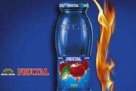 Nektar kupio Fruktal