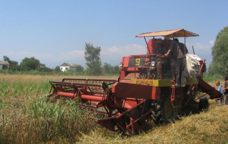 Očekuje se nastavak žetve