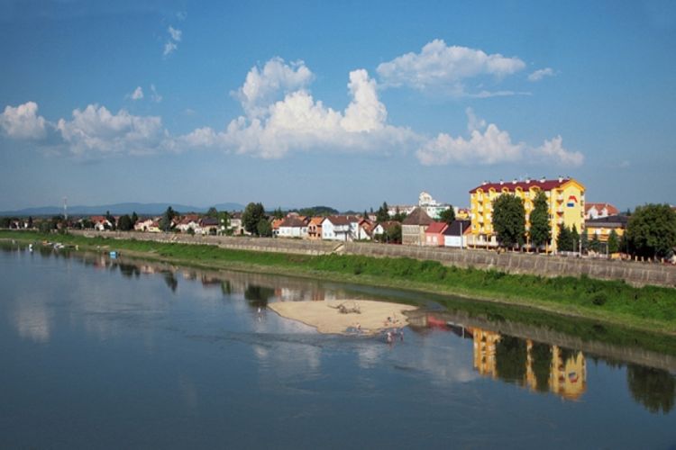 Umro u šumi zbog uvećanog srca