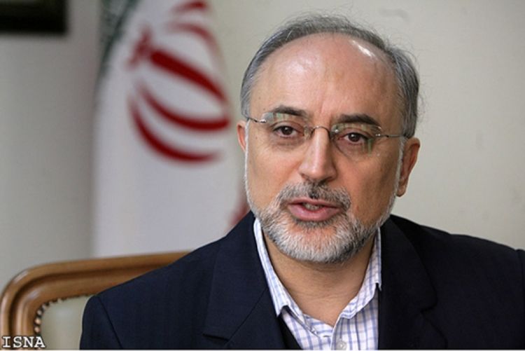 Salehi: Sirijski problem treba da riješe Iran i Turska