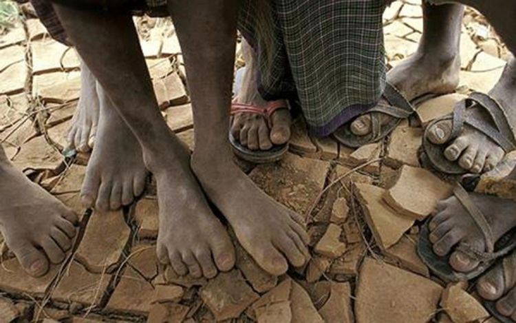 UN: Katrastrofalna suša na Rogu Afrike
