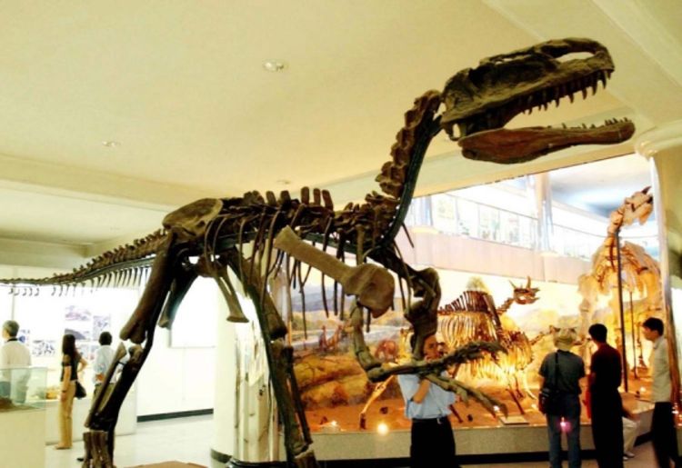 Otkriven rekordan otisak dinosaurusa dug 150 metara