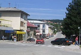 Uhapšen kradljivac bisti