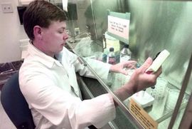 Nova vrsta superbakterije u Evropi i Africi