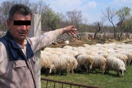 Glamoč: Projektil pao kraj čobanina koji je čuvao ovce