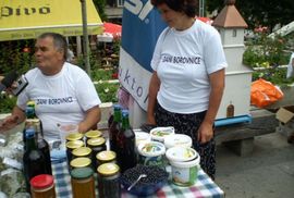 Otvoren promotivni sajam borovnice