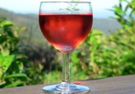 Vino sprečava opekotine od sunca?