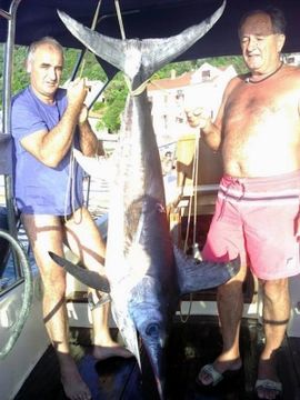 Mišković sa prijateljima ulovio sabljarku tešku 90 kilograma