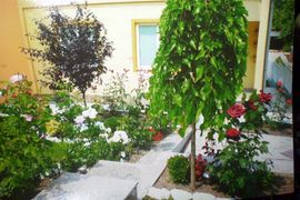 Uručene nagrade za najuređenija dvorišta