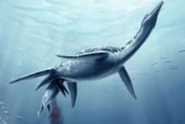 Plesiosaurusi rađali žive mladunce