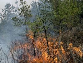 Kanader i vatrogasci ugasili vatru