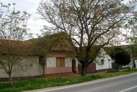 Dječak ukaljao ugled hrvatske države