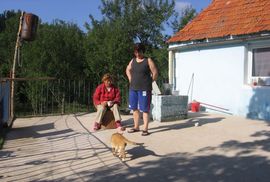 Jedino mačak Marko dočekuje povratnike