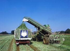 Katastrofalna žetva u Njemačkoj