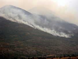 Dva nova požara na području Trebinja