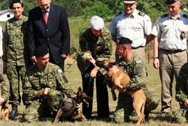 Pas umalo ugrizao Jadranku Kosor