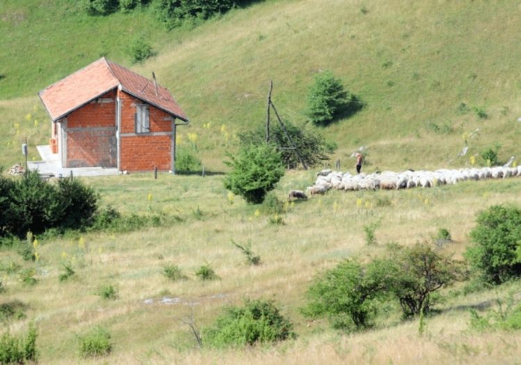 Nerasvijetljeno ubistvo Ibrahima Ramulića: Uboden nožem u srce